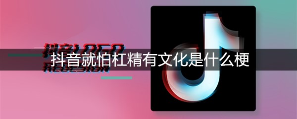 抖音就怕杠精有文化是什么梗