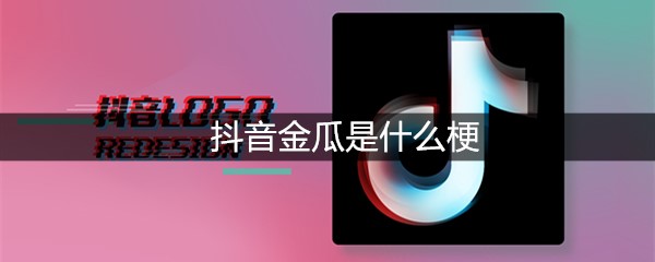 抖音金瓜是什么梗