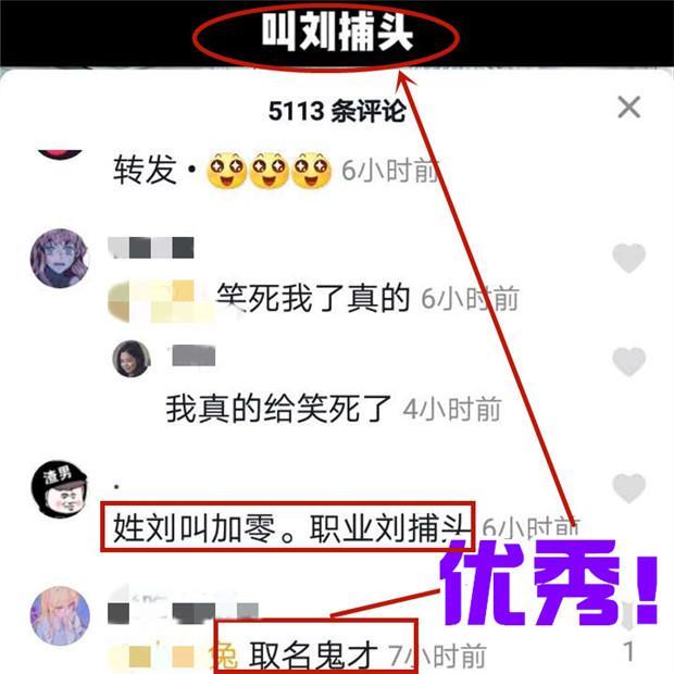 刘捕头和刘加零是什么梗