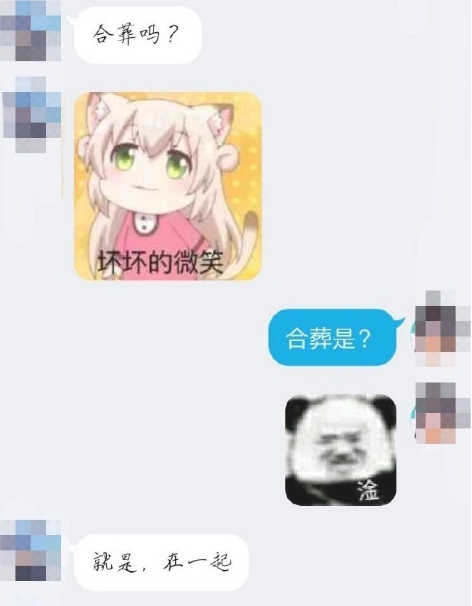 小姐姐合葬吗是什么梗