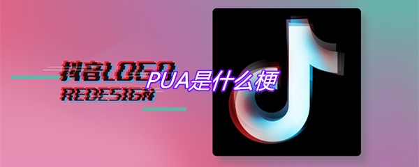 PUA是什么梗