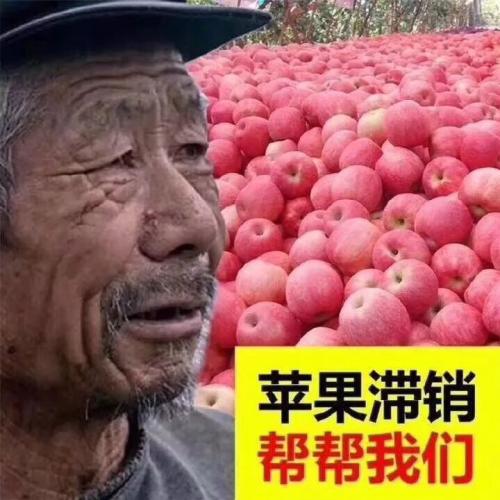 oo滞销帮帮我们是什么梗