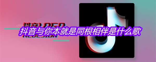 抖音与你本就是同根相伴是什么歌