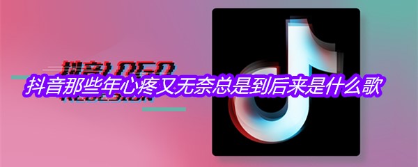 抖音那些年心疼又无奈总是到后来是什么歌