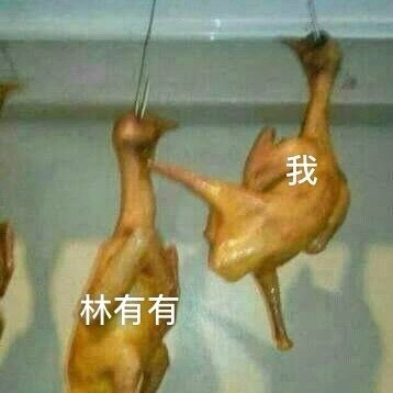 世界上最喜欢林有有是什么梗