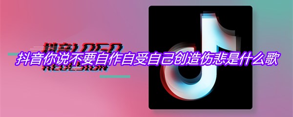 抖音你说不要自作自受自己创造伤悲是什么歌