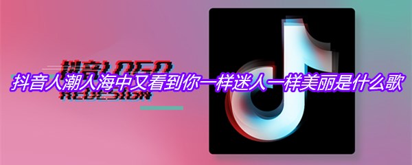 抖音人潮人海中又看到你一样迷人一样美丽是什么歌