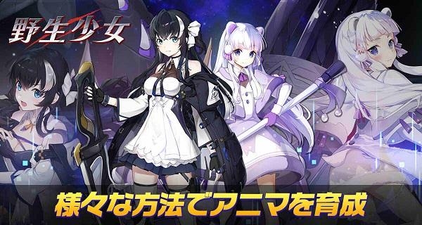 野生少女最新版