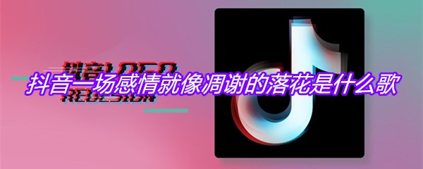 抖音一场感情就像凋谢的落花是什么歌