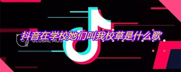 抖音在学校她们叫我校草是什么歌