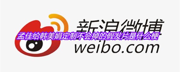 孟佳给韩美娟定制不会掉的假发片是什么梗