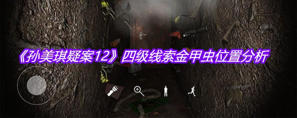 《孙美琪疑案12》四级线索金甲虫位置分析