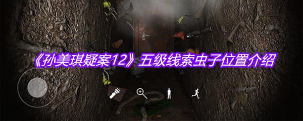 《孙美琪疑案12》五级线索虫子位置介绍