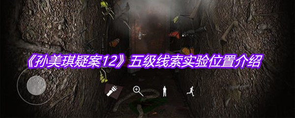 《孙美琪疑案12》五级线索实验位置介绍