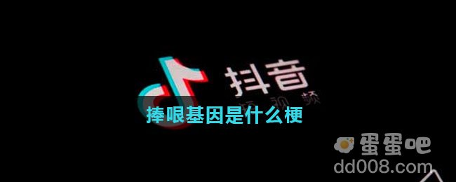 捧哏基因是什么梗