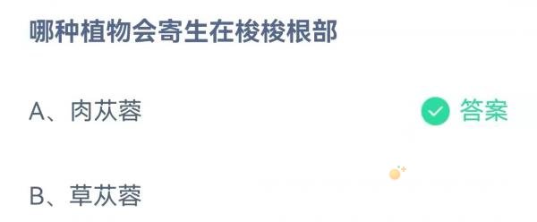 《支付宝》蚂蚁庄园2021年11月23日每日一题答案