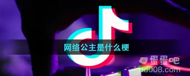 网络公主是什么梗