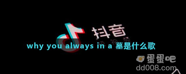 why you always in a 墓是什么歌