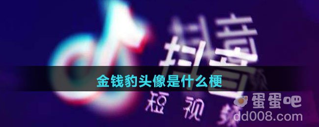 金钱豹头像是什么梗