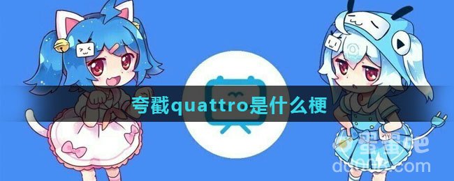 夸戳quattro是什么梗