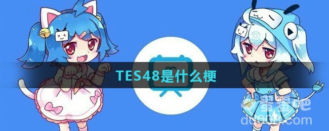 TES48是什么梗