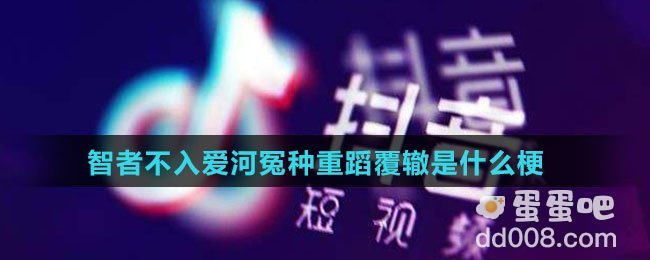 智者不入爱河冤种重蹈覆辙是什么梗