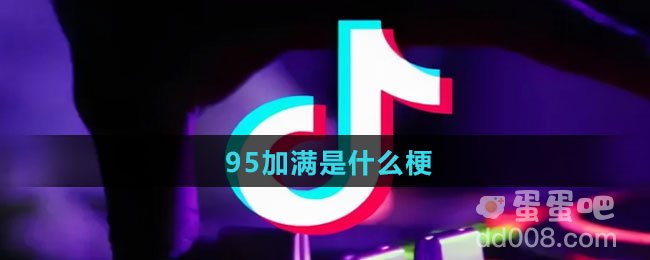 95加满是什么梗