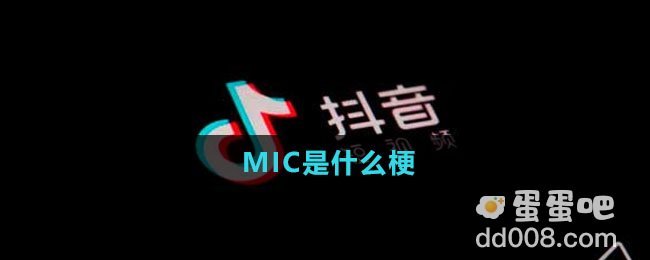 MIC是什么梗