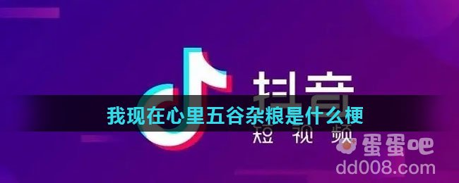 我现在心里五谷杂粮是什么梗