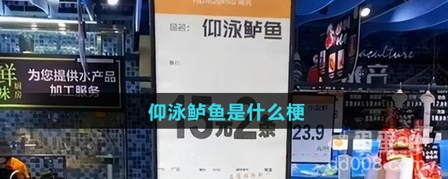 仰泳鲈鱼是什么梗