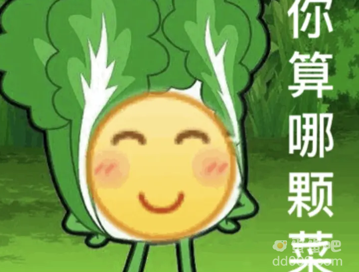 小趴菜是什么梗