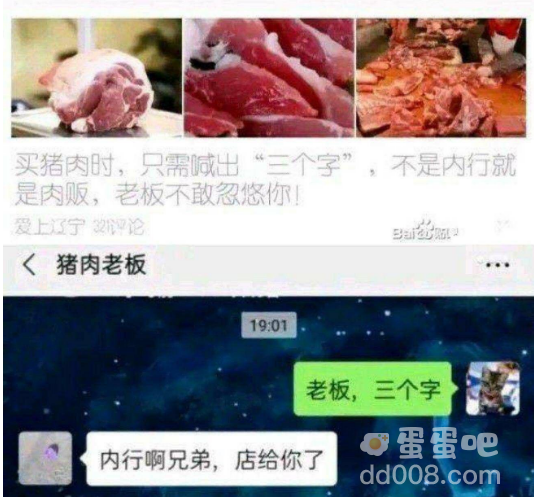 暖她一整天是什么梗