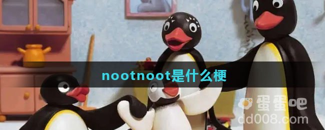 nootnoot是什么梗