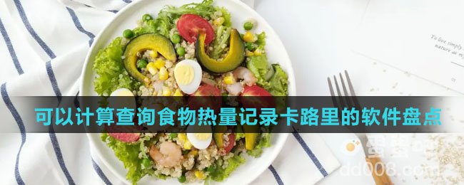 可以计算查询食物热量卡路里的软件盘点