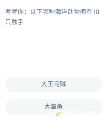 《支付宝》神奇海洋2022年8月16日每日一题答案