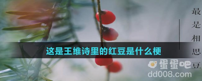 这是王维诗里的红豆是什么梗