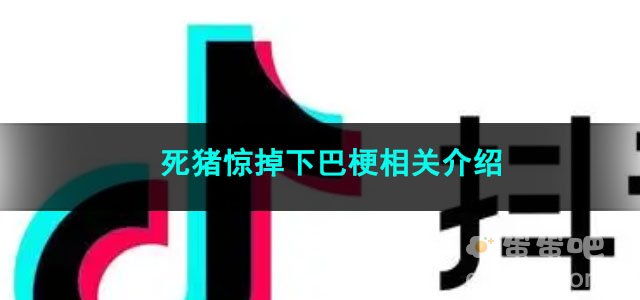 《抖音》死猪惊掉下巴梗相关介绍