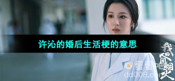 《抖音》许沁的婚后生活梗的意思介绍