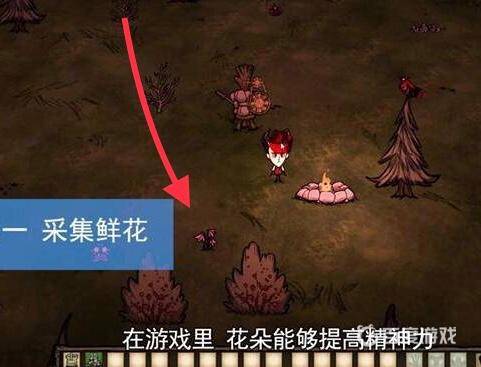 饥荒无限物品版