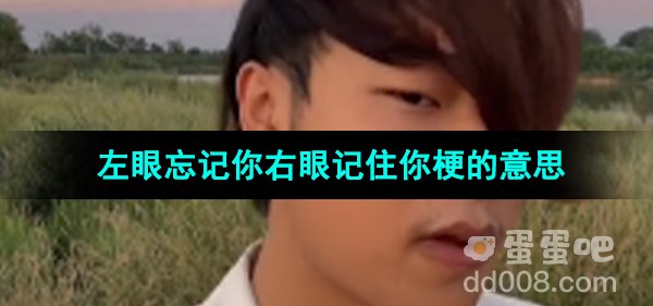 《抖音》左眼忘记你右眼记住你梗的意思介绍