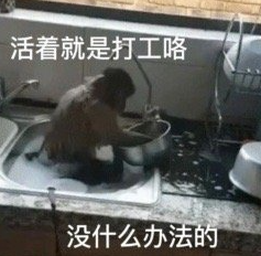 《抖音》吗喽的命也是命梗图表情包分享