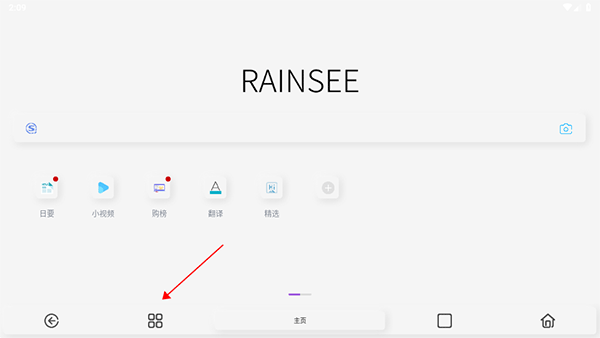 rains浏览器精简版