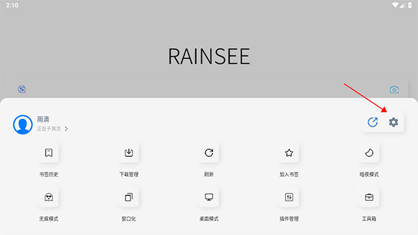 rains浏览器精简版