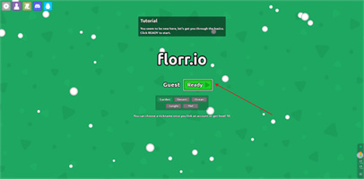 florr.io