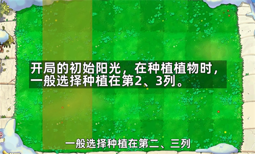 植物大战僵尸杂交版