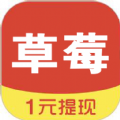 草莓看点手机软件app