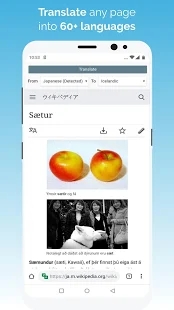 Kiwi浏览器中文版截图