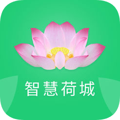 智慧荷城手机软件app