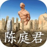 孙美琪疑案陈庭君手游app