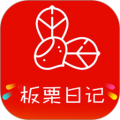 板栗日记手机软件app